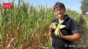 Schlechte Ernte für Landwirte im Saaletal