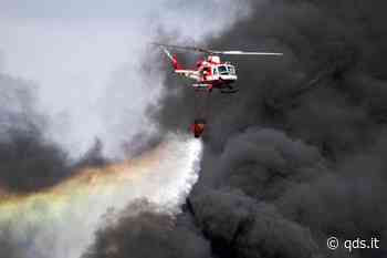 Ancora fiamme in Sicilia, incendi ad Agrigento e monte Capreria: morti dei cani - Quotidiano di Sicilia