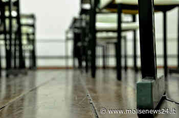 Termoli, scuola Schweitzer: le precisazioni dell'amministrazione Comunale - Molise News 24