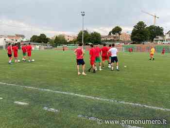 La Juniores del Termoli torna in campo, allenamenti in via Biferno - Primonumero