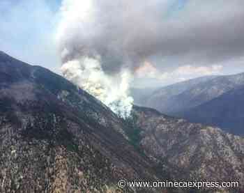 Nohomin Creek blaze downgraded from wildfire of note - Omineca Express