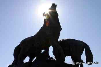 Wolf Pack Football welcomes Chris Ault Field Sponsored by ITS Logistics - Nevada Today