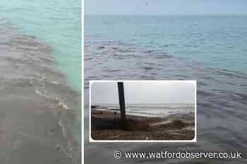 'Horrendous' footage of sewage pumped in sea sparks backlash
