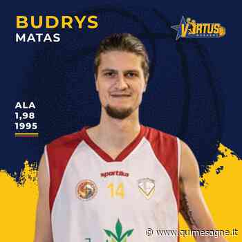 Dalla Lituania il nuovo rinforzo gialloblu - Qui Mesagne