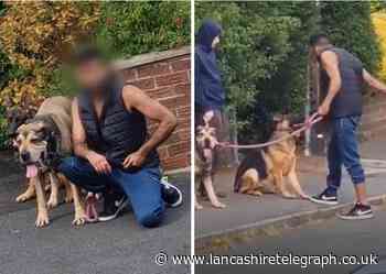 Blackburn residents react to video of man hitting dogs