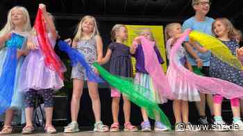 Party und mehr im Hohenzollernpark: Sommer im Park in Schenefeld: Gelungenes Fest der Vereine für den ganzen Ort - shz.de