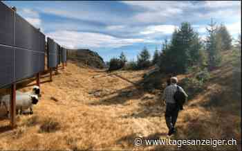 Wege aus der Energiekrise – Bürgerliche fordern Bau von zwei Solarkraftwerken mit Notrecht - Tages-Anzeiger