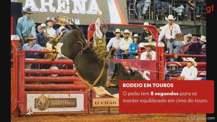 Festa do Peão de Barretos 2022: entenda as regras das modalidades do rodeio em cavalos e touros - Globo