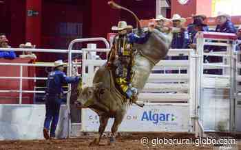 Touros fazem festa na abertura dos rodeios em Barretos - Revista Globo Rural