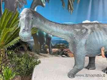 Il dinosauro Tito di Rocca di Cave torna a "vivere" - ilmamilio.it - L'informazione dei Castelli romani