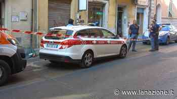 Omicidio a Pisa, accoltellato sulla soglia del suo negozio. Fermato un uomo - LA NAZIONE