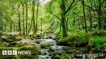New measures implemented to protect Cornwall nature reserve - BBC