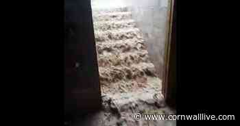 Cornwall cider farm struck by flash flooding as muddy water pours into cellar - Cornwall Live