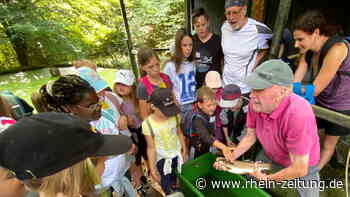Jugendcamp Bitzen/Forst: Mehr als 60 Kinder erleben abwechslungreiche Ferientage - Rhein-Zeitung