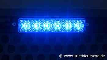 Tiere - Forst Sankt Zeno - Bergwacht rettet steckengebliebenes Rind - Bayern - Süddeutsche Zeitung - SZ.de