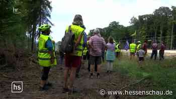Weitergedreht: Dannenröder Forst - Video: | hessenschau.de | TV-Sendung - hessenschau.de