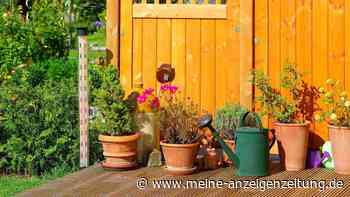 Sichtschutz: So sorgen Sie für mehr Privatsphäre auf dem Balkon und im Garten