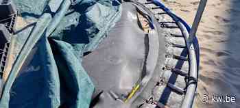 Vandalen vernielen trampolines op het strand van Middelkerke: “Meer dan 1.000 euro kosten” - KW.be