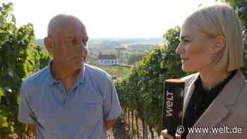 „Zukünftig wird hier noch vieles absterben, die Natur wird sich einfach verändern“