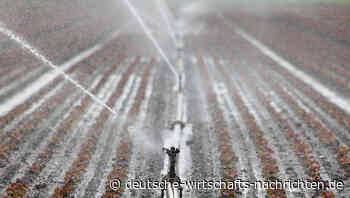 Trockenheit und EU machen deutschen Bauern zu schaffen