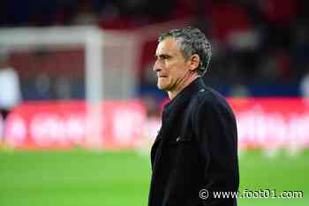 Montpellier : Dall'Oglio premier entraîneur de Ligue 1 limogé ?
