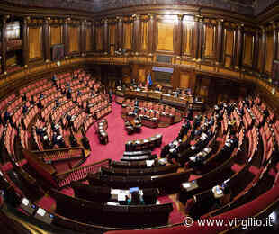 Messina, nell'uninominale al Senato è sfida tra donne: una tra Bucalo, Floridia, Musolino, Russo diventerà senatore - Virgilio