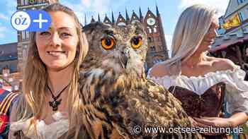 Wallensteintage 2022: Stralsund sagt „Danke“ für diese vier tollen Tage! - Ostsee Zeitung