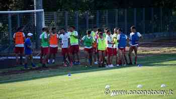 Il Fabriano Cerreto mette le ali: ecco Di Nicola, l'Airone di Cascia - AnconaToday