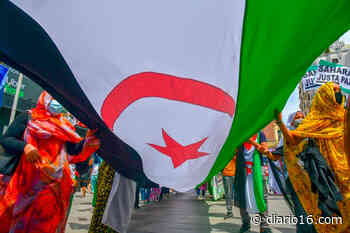 El Frente Polisario reprocha a Sánchez que se haya saltado la legalidad internacional con el SáharaEl Frente Polisario reprocha a Sánchez que se haya saltado la legalidad internacional con el Sáhara - Diario16