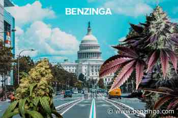 Washington DC: Medical Cannabis Self-Certification Program Results In Rise MMJ Patient Registrations - Benzinga