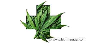 New Study Shows Patient Preference for Medical Cannabis Products - Lab Manager Magazine