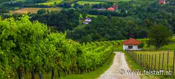 Serbien - Ein Weinland im Aufwind