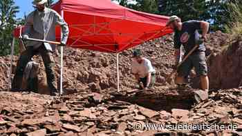Archäologie - Gotha - Tausendfüßer und Dino-Schwimmspuren: Funde am Bromacker - Wissen - Süddeutsche Zeitung - SZ.de