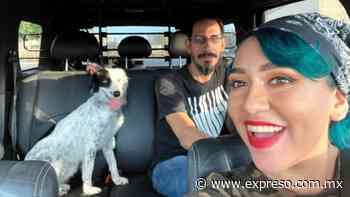 ¿Taxis para mascotas? Esta es la innovadora idea de una hermosillense - EXPRESO