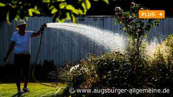 Aichach-Friedberg: Viel Verbrauch, wenig Regen: Grundwasserstand in Aichach-Friedberg sinkt | Aichacher Nachrichten - Augsburger Allgemeine