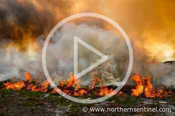 11,000 lightning strikes spark nearly 100 new fires: BC Wildfire Service - Kitimat Northern Sentinel