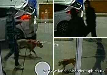 Pair walking dog sought by police after man robbed from behind in Lancaster street