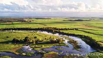 Flooding Wetlands Could Be the Next Big Carbon Capture Hack
