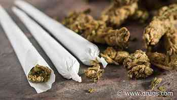 Use of Pot, Hallucinogens Soaring Among Young Americans