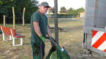 Trockenheit in Wittenberge: Der große Durst: Baumpfleger sind im Dauerstress - svz – Schweriner Volkszeitung