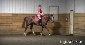 ‘To see your child thrive in the world of disabilities’: Therapeutic riding improving lives in Sask.