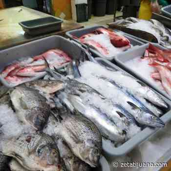 Cobran piso a los pescadores del Mercado Negro de mariscos en Ensenada: CCEE - Zeta