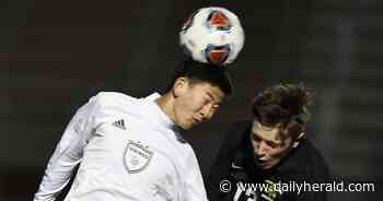 Boys soccer: Cook County season preview