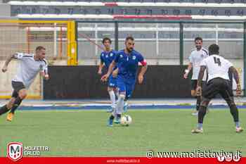 Prima il Matera, poi Barletta e Puteolana: il calendario completo della Molfetta Calcio - MolfettaViva