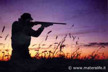 Basilicata, in calo il numero dei cacciatori - MateraLife