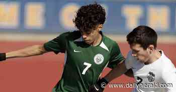 Boys soccer: Lake County season preview