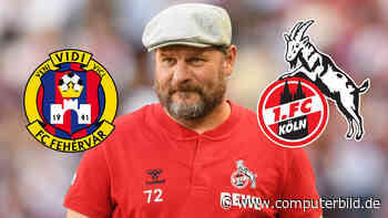 Fehérvár FC –1. FC Köln: Wett-Tipp & Prognose – BildBet zum Rückspiel