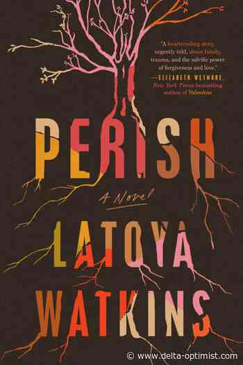 Review: Debut novel 'Perish' handles trauma with grace, grit - Delta Optimist