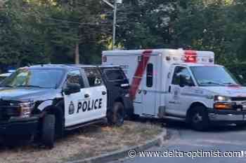 Two dead, seven injured following SUV crash into West Vancouver wedding - Delta Optimist