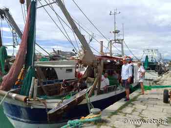 Pescara: per il mancato dragaggio "il porto rischia di chiudere" - Rete8